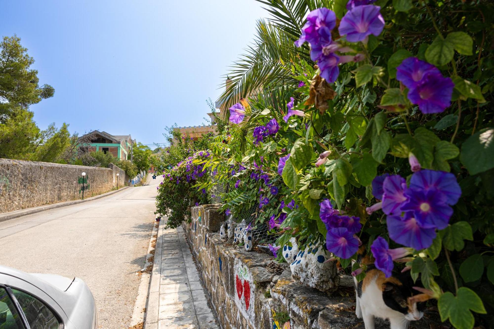 Domus City Apartment Argostoli  Eksteriør billede